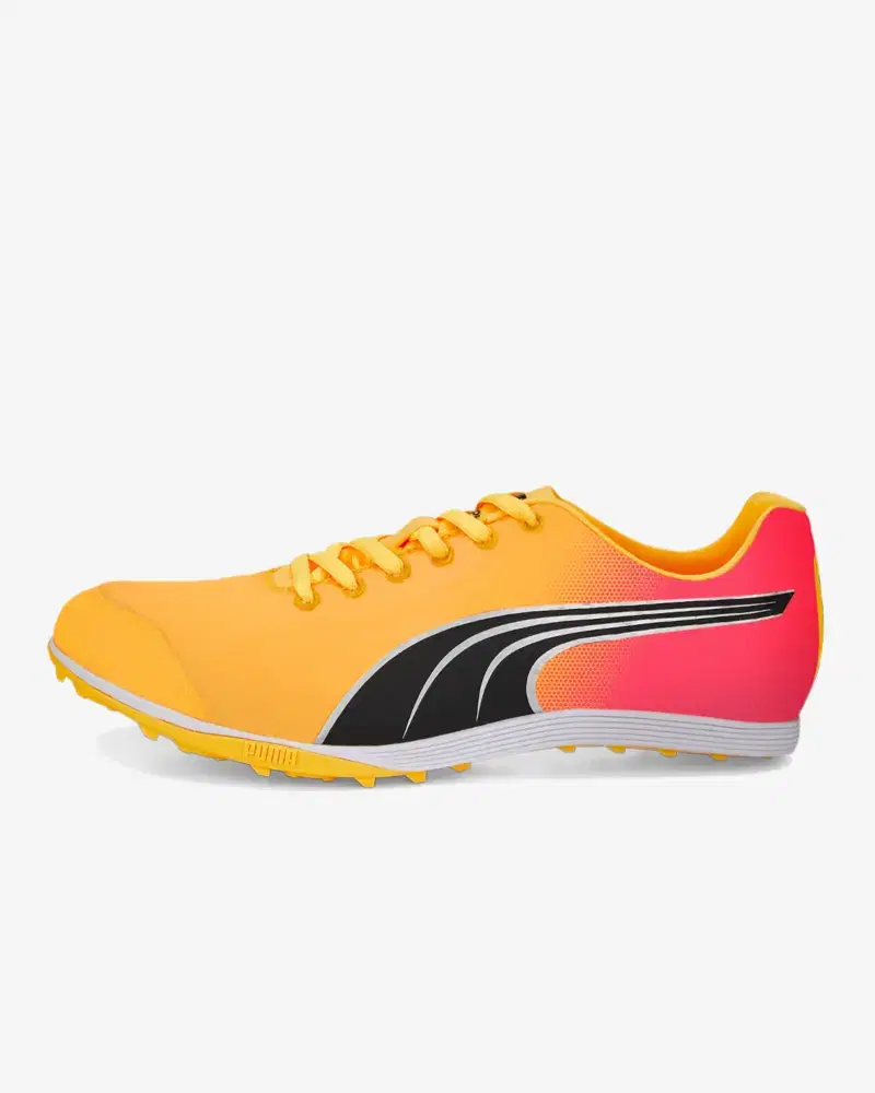 Puma EvoSPEED Crossfox 4 - Unisex (47) au meilleur prix !