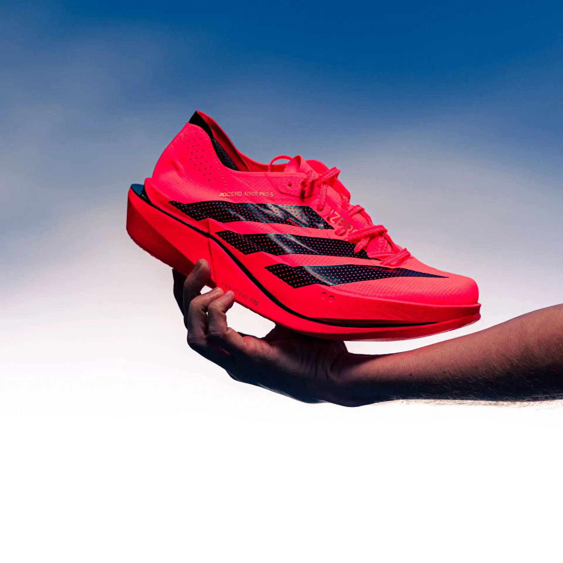 adidas adios pro 5 – Le meilleur choix pour vos courses !
