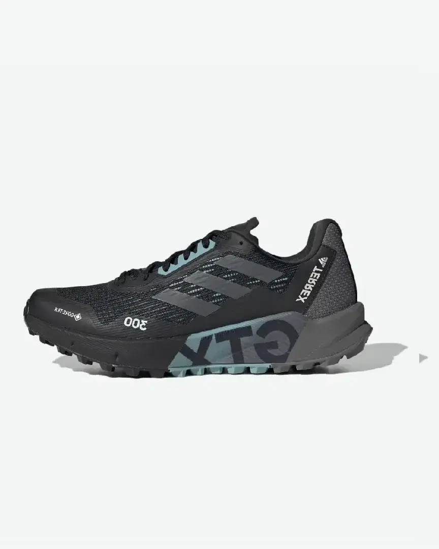 adidas Terrex Agravic Flow 2 Gore-Tex W - Women (2) au meilleur prix !