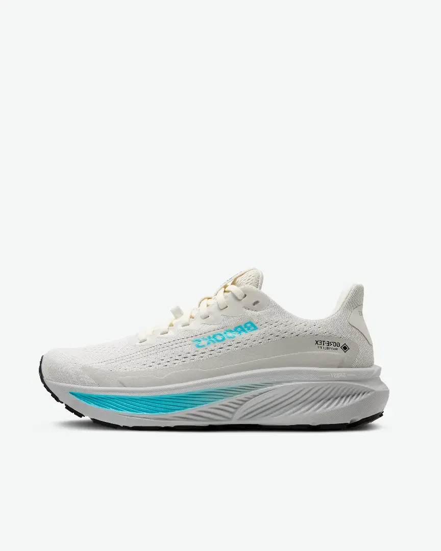 Brooks Ghost 17 Gtx Femme