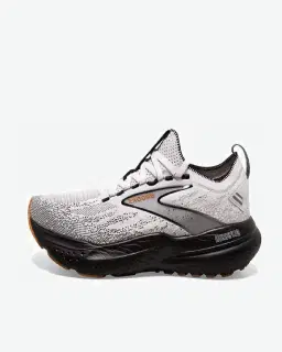 Brooks Glycerin Stealthfit 21 Homme – 1/5