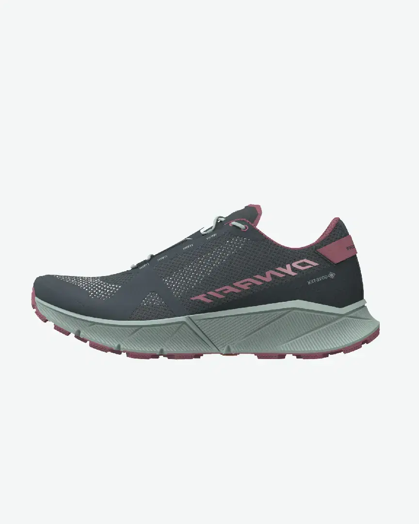 Dynafit Ultra 100 Gtx W - Women (6) au meilleur prix !