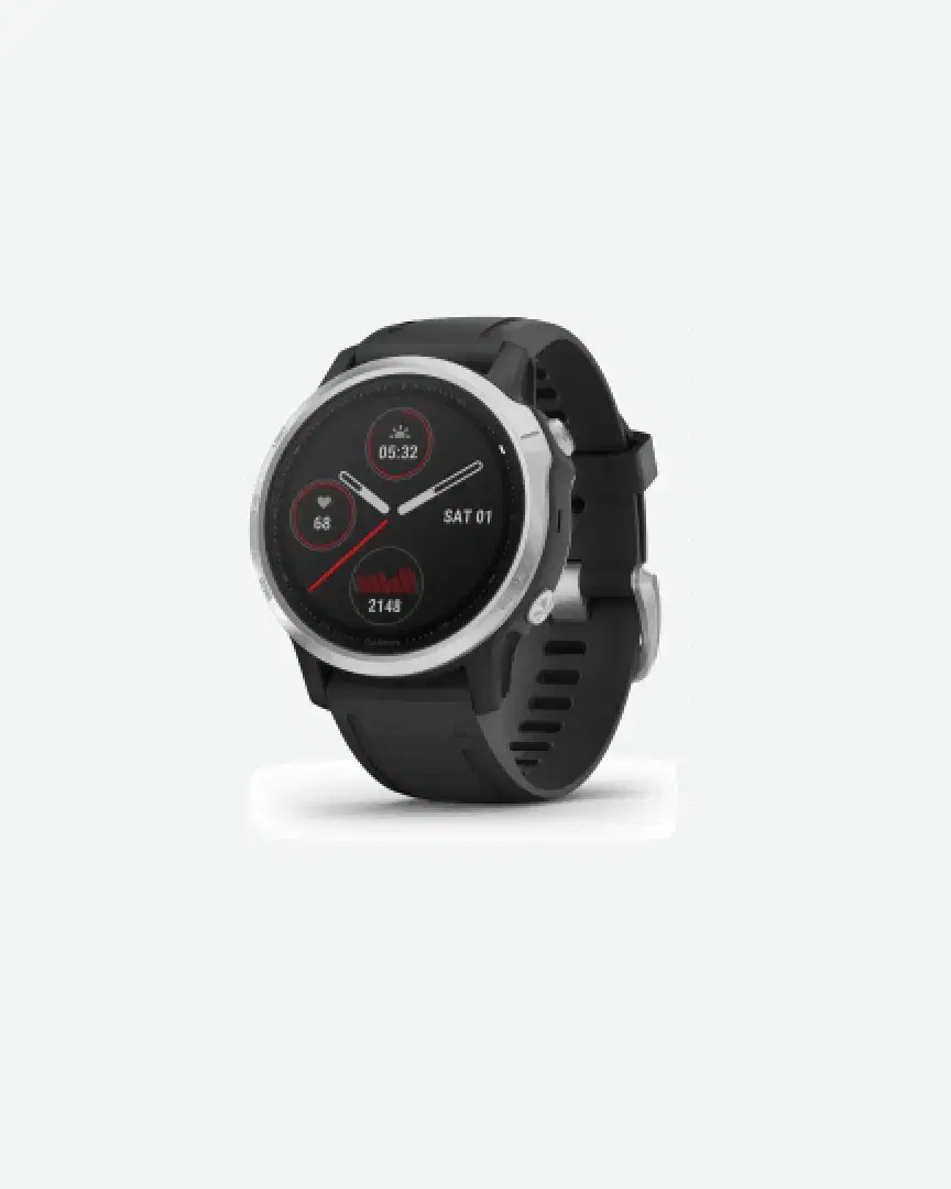 Garmin Fenix 6S - Unisex (191) au meilleur prix !