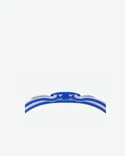 Lunettes De Piscine Speedo Vanquisher 3 0 Mirroir Homme – 2/5