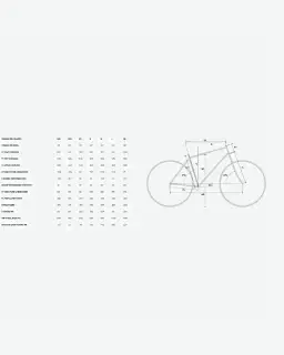 Merida Bikes Vélo De Route Scultura 6000 105 Di2 2025 Unisexe – 2/2
