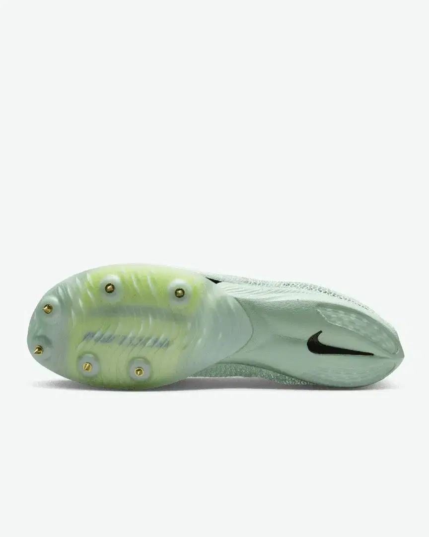 Nike Air Zoom Victory - DR9908-300 (1) au meilleur prix !