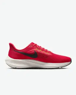Nike Pegasus 39 Homme – 3/4