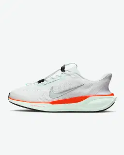 Nike Pegasus Easyon Blueprint Homme – 1/4