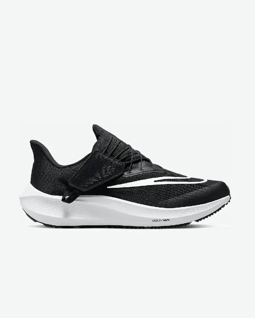 Nike Pegasus Flyease M - Men (15) au meilleur prix !