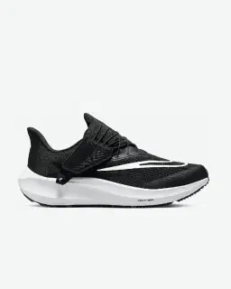 Nike Pegasus Flyease Homme – 1/5