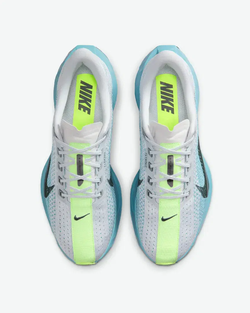 Nike Pegasus Plus M - FQ7262-012 (3) au meilleur prix !
