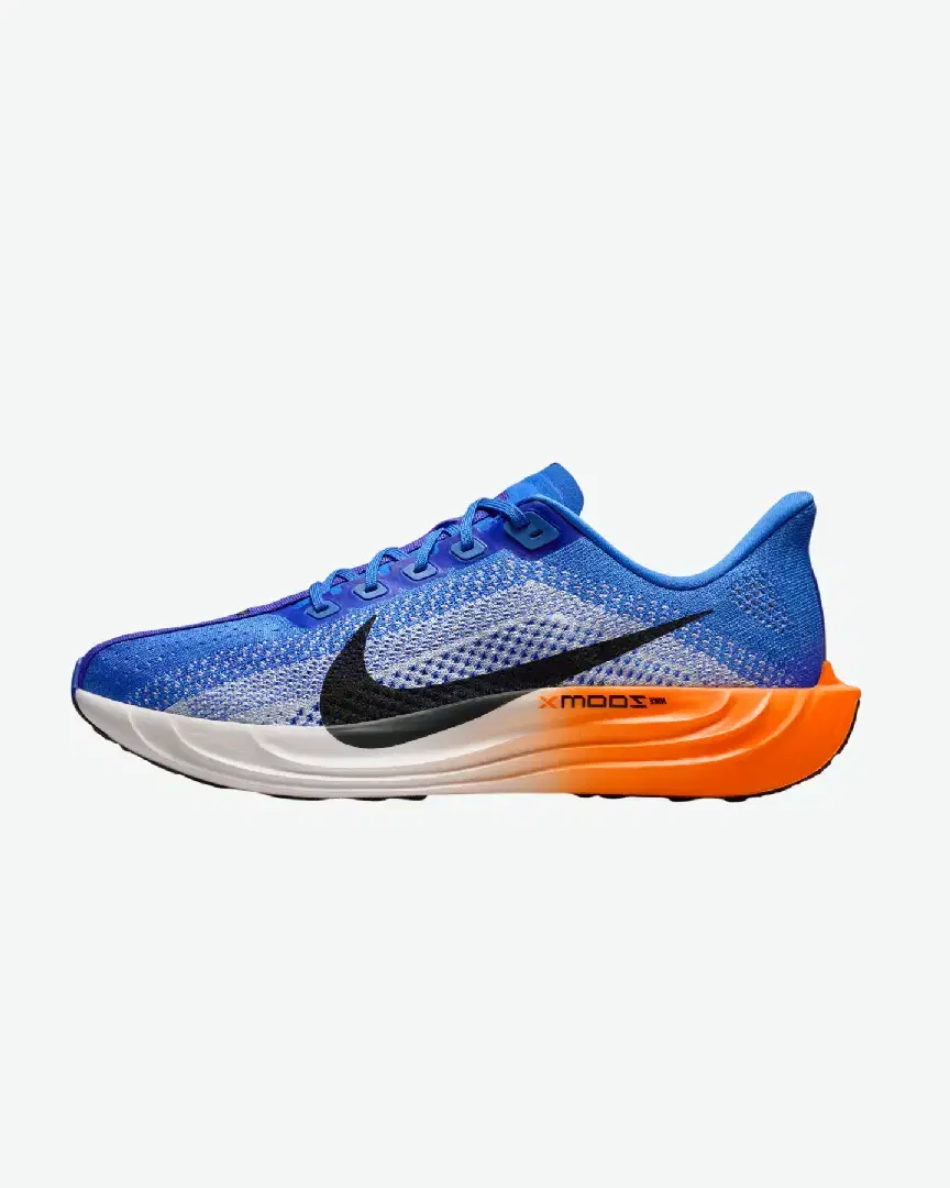 Nike Pegasus Plus - Men (68) au meilleur prix !
