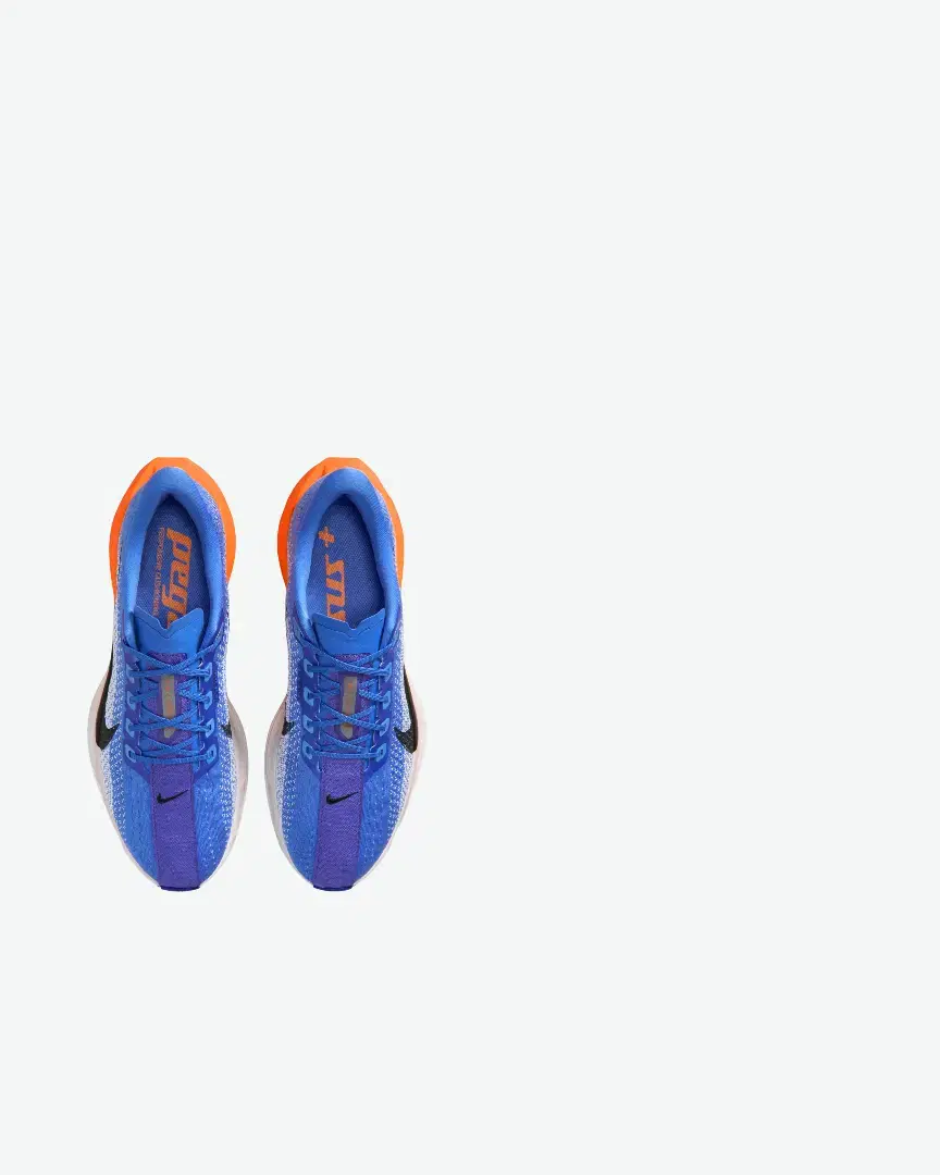 Nike Pegasus Plus M - FQ7262-403 (2) au meilleur prix !