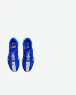 Nike Pegasus Plus Premium Homme – 3/5