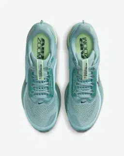 Nike Pegasus Premium Homme – 4/4