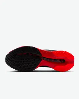 Nike Pegasus Premium Homme – 2/4