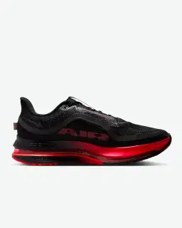 Nike Pegasus Premium Homme – 3/4