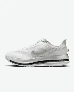 Nike Pegasus Premium Homme – 1/4