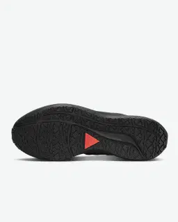 nike pegasus shield Homme – 2/4