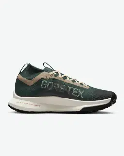 Nike Pegasus Trail 4 GORE-TEX Homme – 3/4