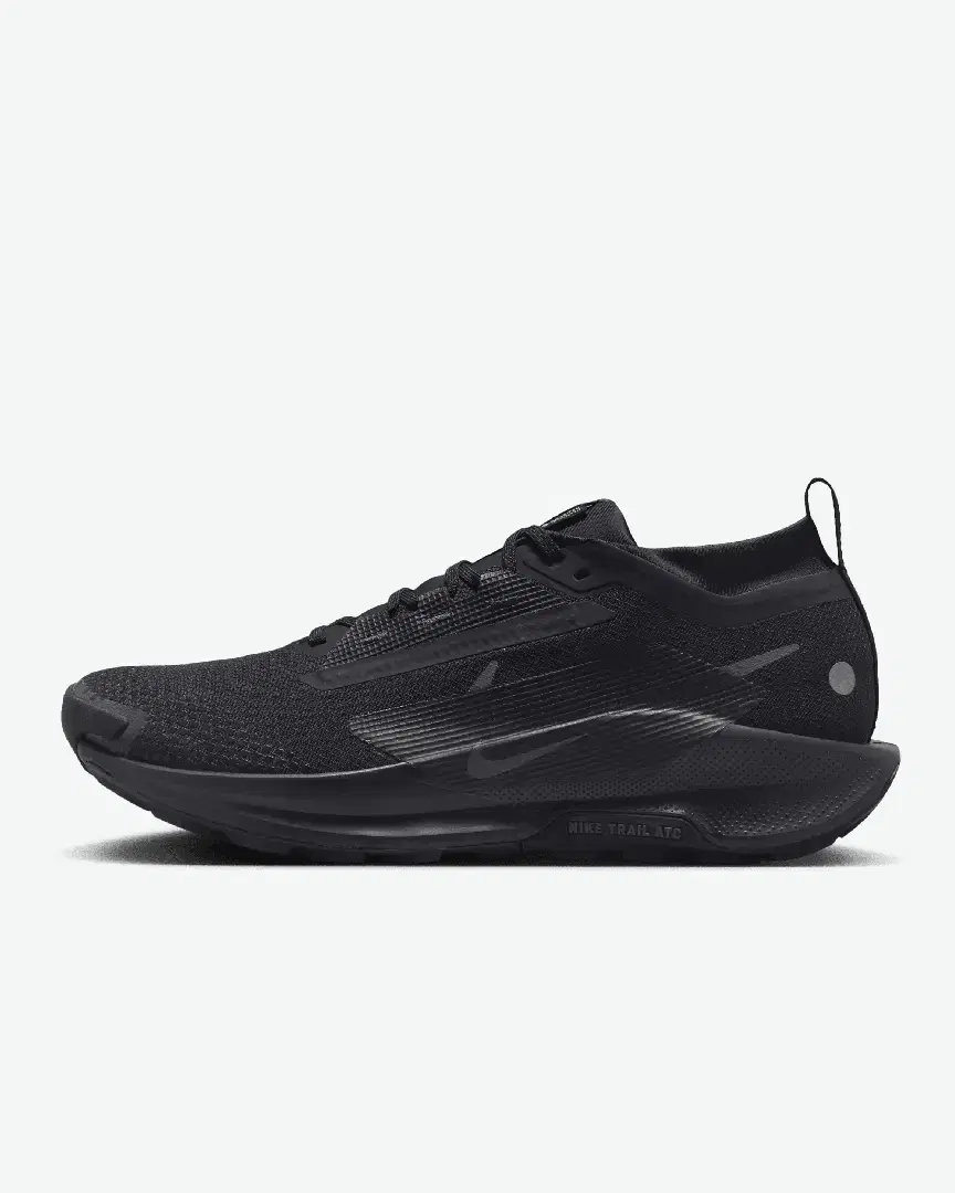 Nike Pegasus Trail 5 Gore-Tex M - Men (4) au meilleur prix !