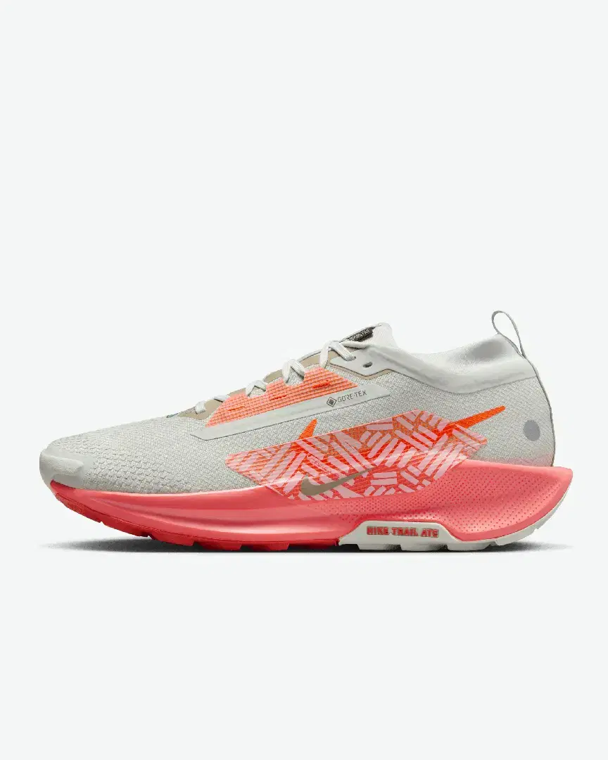 Nike Pegasus Trail 5 Gore-Tex M - Men (2) au meilleur prix !