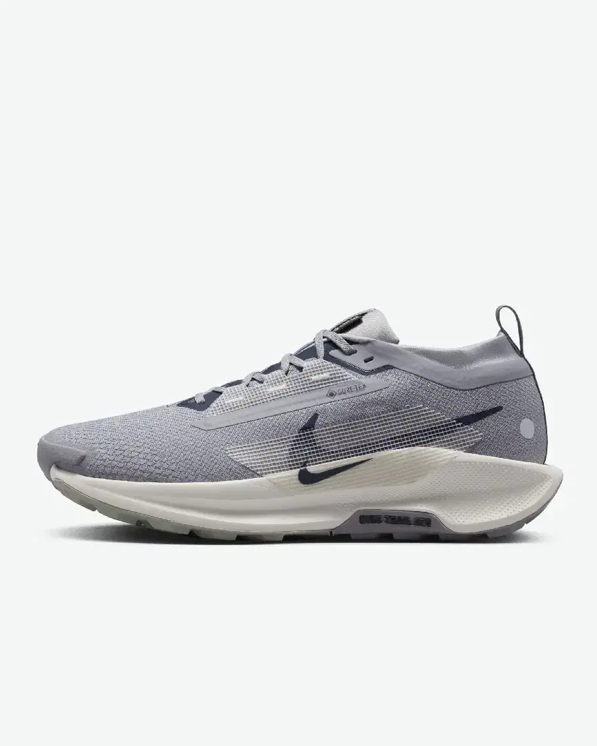 Nike Pegasus Trail 5 Gore-Tex M - Men (5) au meilleur prix !