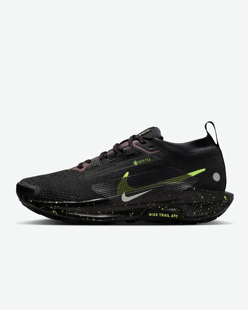 Nike Pegasus Trail 5 Gore-Tex W - Women (2) au meilleur prix !