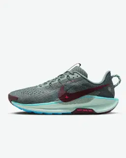 Nike Pegasus Trail 5 Homme – 1/4