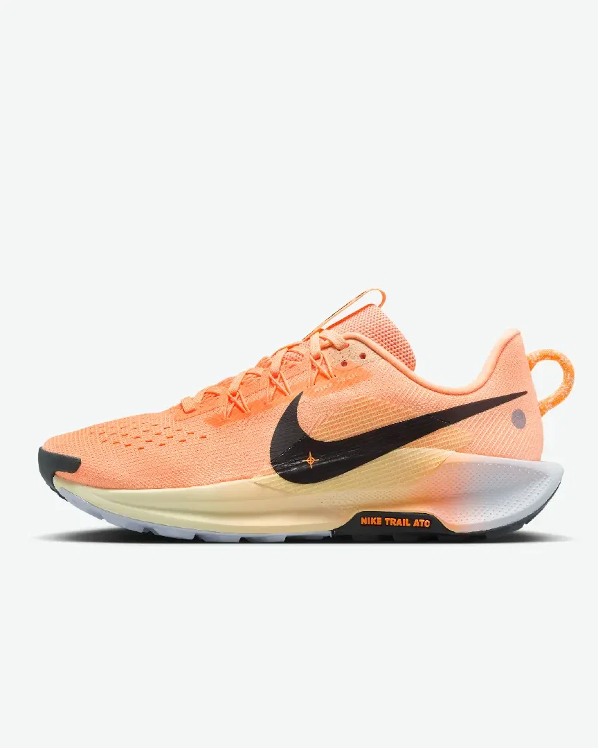 Nike Pegasus Trail 5 Femme