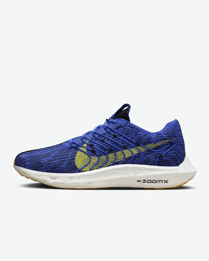 Nike Pegasus Turbo Next Nature M - Men (10) au meilleur prix !