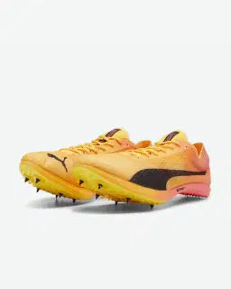 Puma d'athlétisme evoSPEED Distance Nitro™ Elite+ 4 Unisexe – 2/6