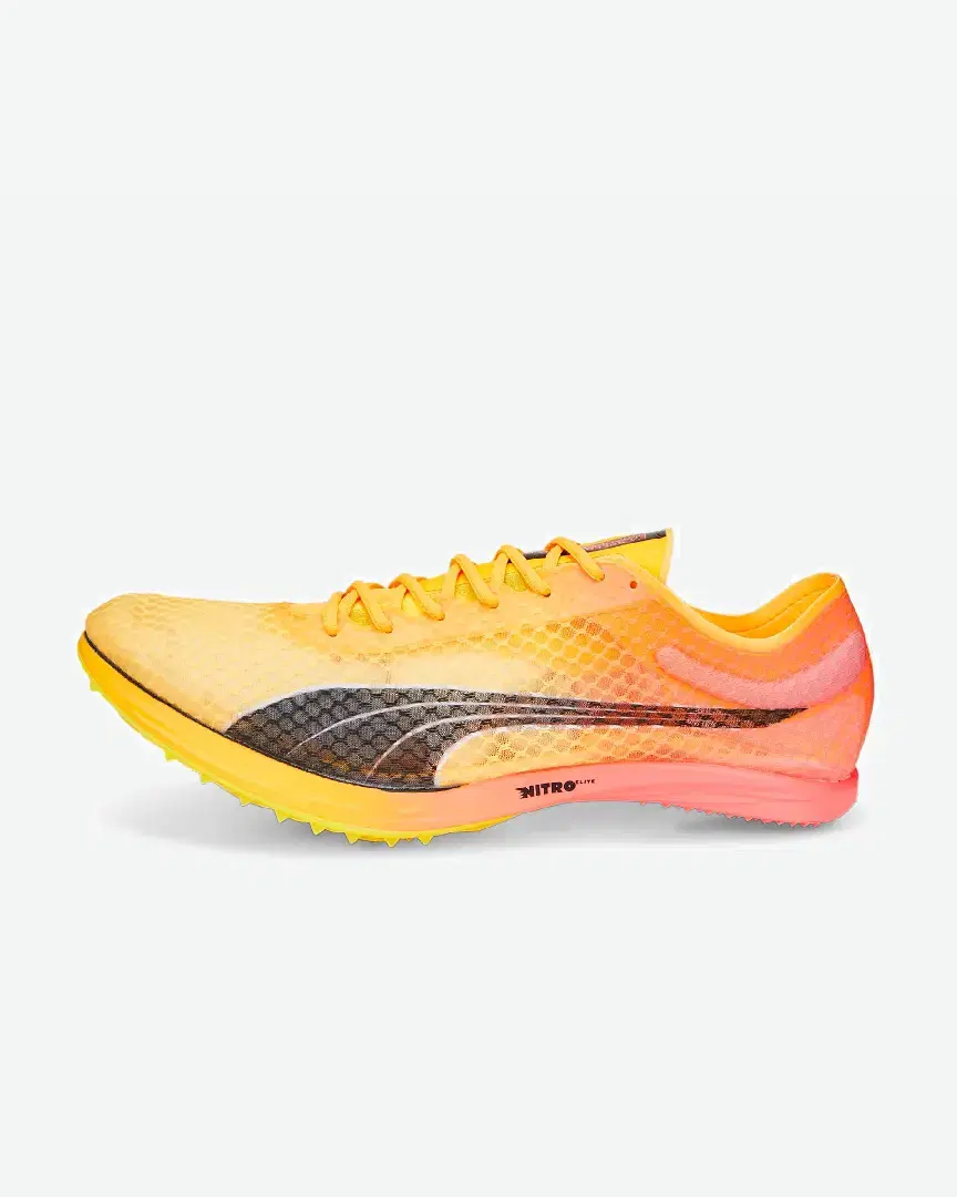 Puma Evospeed Distance Nitro Elite - 377383-01 (1) au meilleur prix !