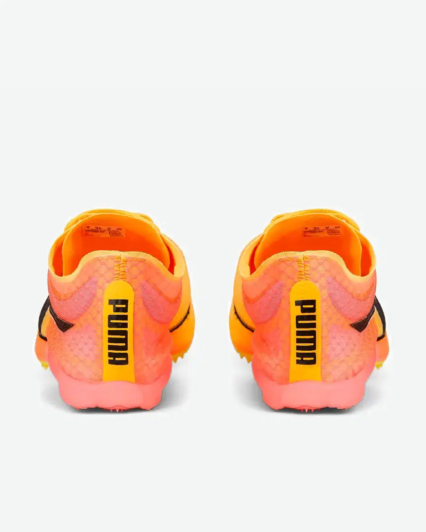 Puma Evospeed Distance Nitro Elite - 377383-01 (2) au meilleur prix !