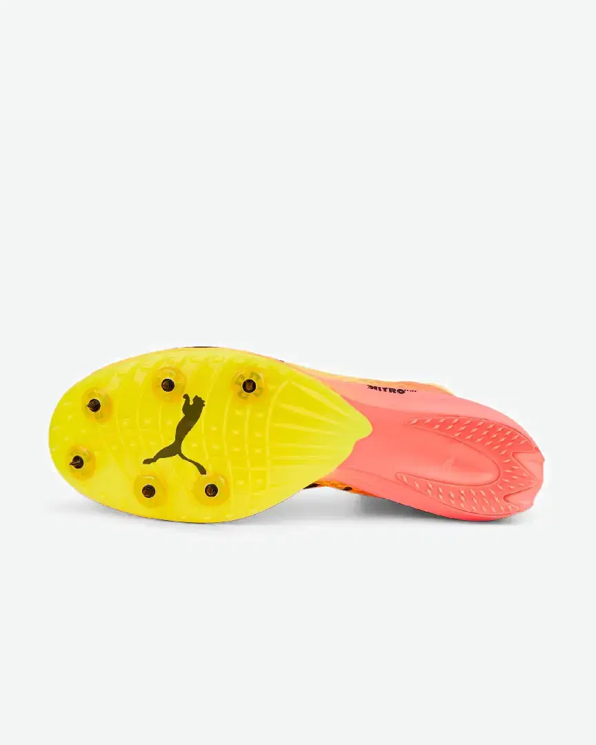 Puma Evospeed Distance Nitro Elite - 377383-01 (3) au meilleur prix !