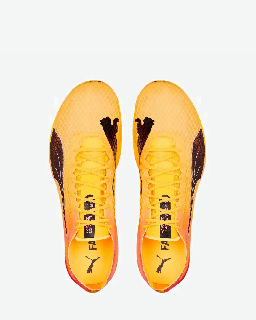 Puma Evospeed Distance Nitro Elite - 377383-01 (5) au meilleur prix !