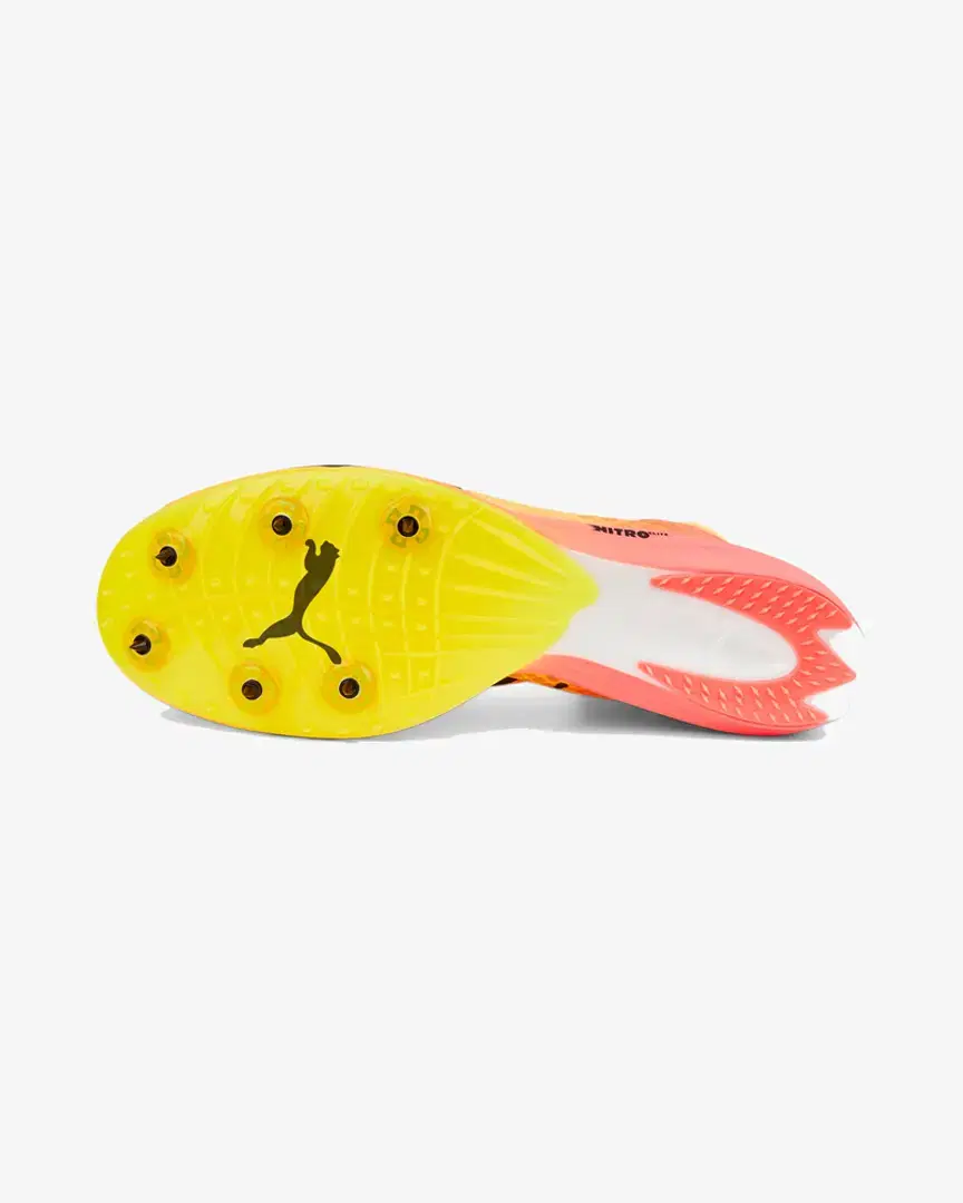 Puma Evospeed Distance Nitro Elite - 37738301 (3) au meilleur prix !