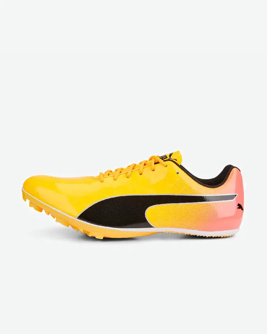 Puma Evospeed Sprint 14 - Unisex (11) au meilleur prix !