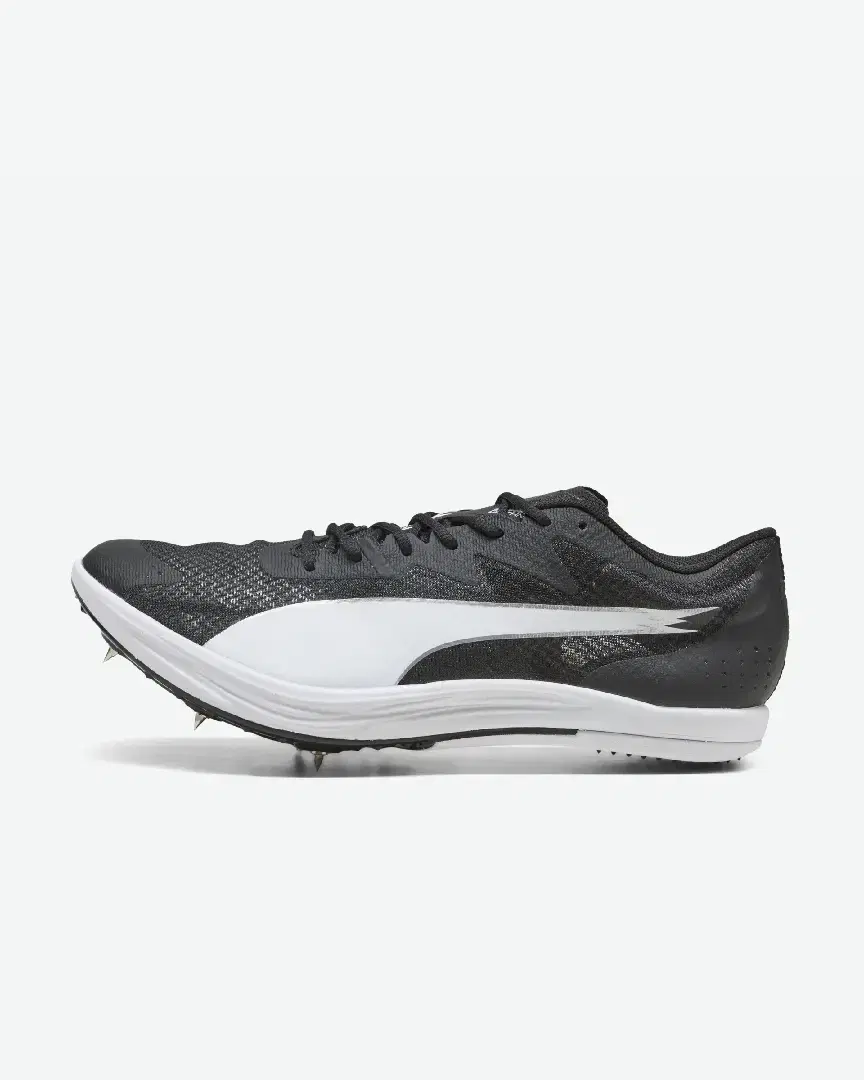 Puma Longue Distance Evospeed - Unisex (41) au meilleur prix !
