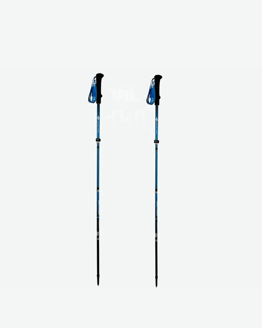 Raidlight Compact Carbon Ultra Evo Bâtons De Marche Unisexe