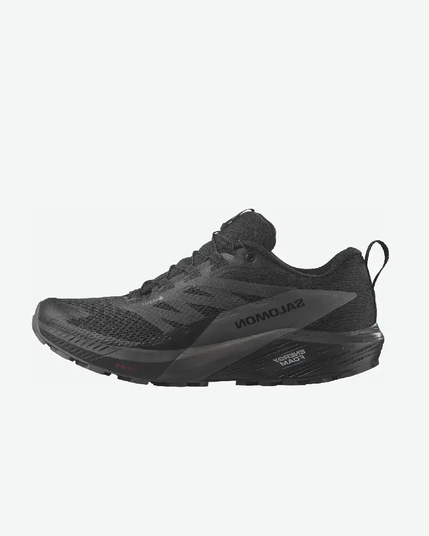 Salomon Sense Ride 5 M - Men (17) au meilleur prix !