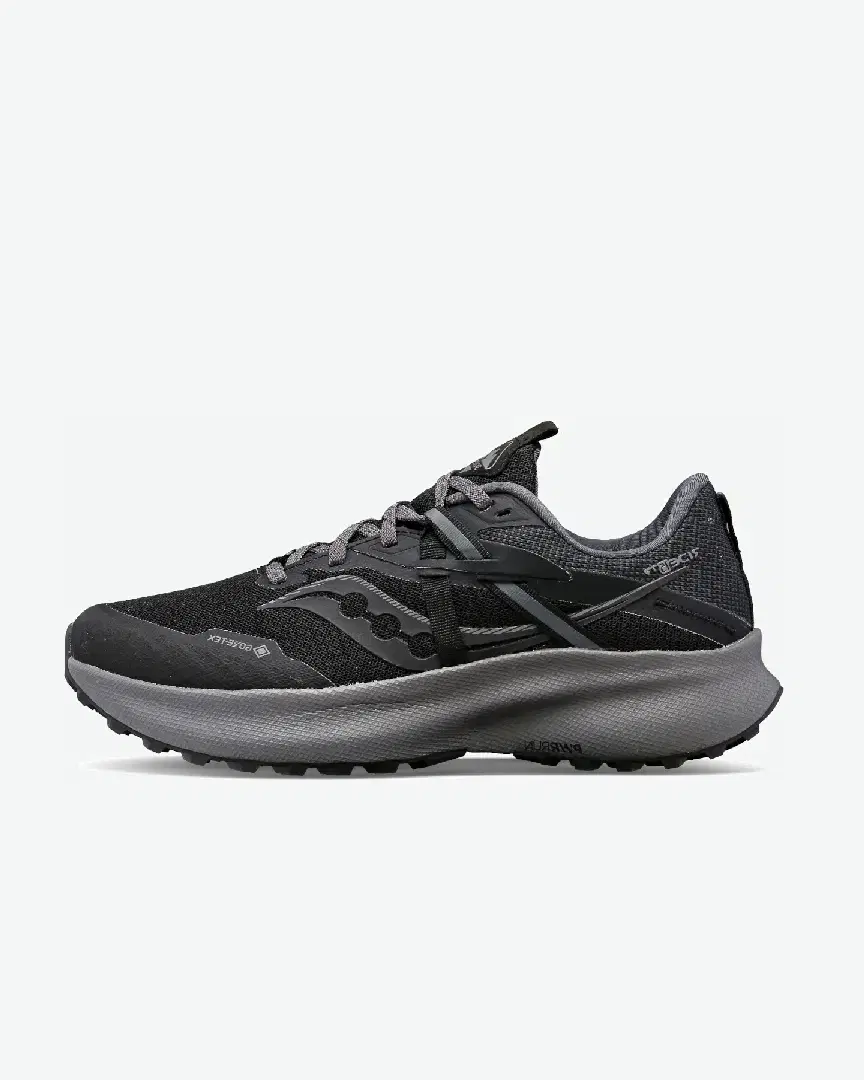 Saucony Ride 15 Tr Gtx W - Women (5) au meilleur prix !