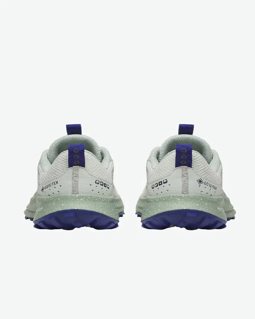 Saucony Ride Tr2 Gtx W - S10953-260 (2) au meilleur prix !