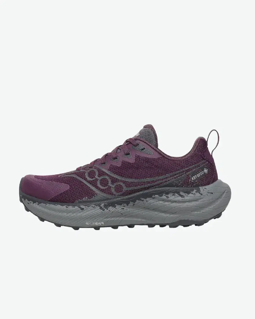 Saucony Ride Tr3 Gtx W - Women (13) au meilleur prix !