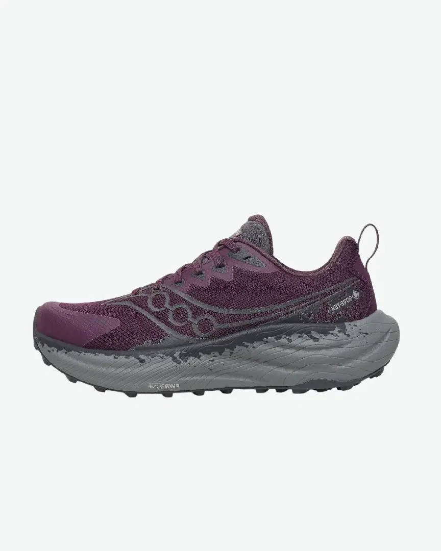 Saucony Ride Tr3 Gtx W
