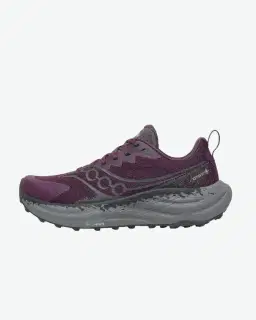 Saucony Ride Tr3 Gtx Femme – 1/5