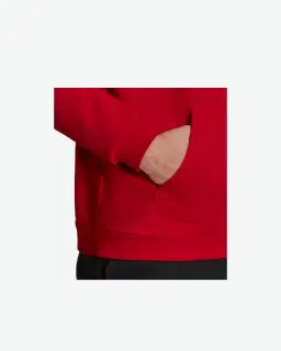 Sweatshirt à capuche adidas Entrada 22 Sweat Homme – 3/3