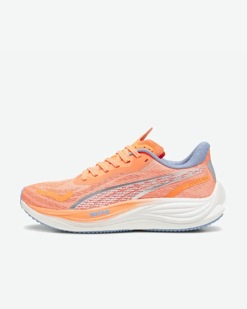 velocity nitro 3 Homme