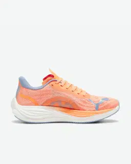 velocity nitro 3 Homme – 7/8